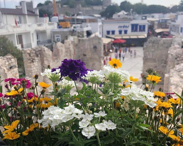 Houses Of Socrates - Manzara Bodrum Exterior foto